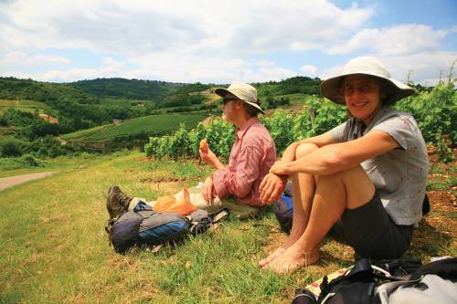 Picnic near Auxey